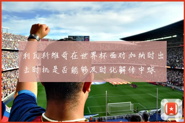 利瓦科维奇在世界杯面对加纳时出击时机是否能够及时化解传中球