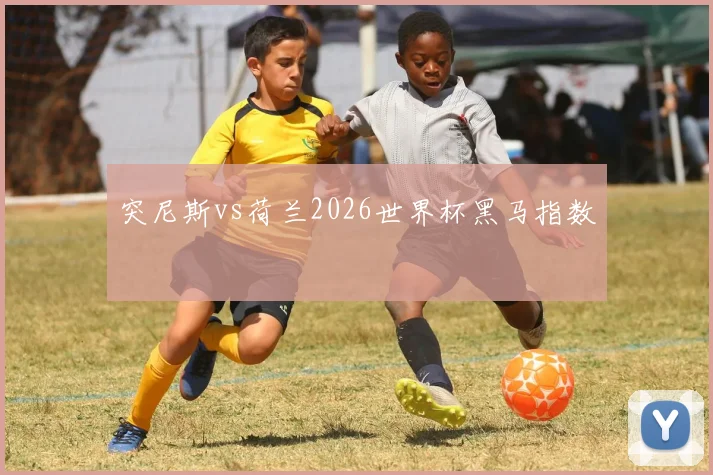 突尼斯vs荷兰2026世界杯黑马指数