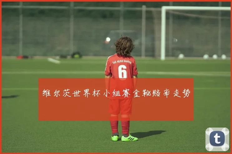 维尔茨世界杯小组赛金靴赔率走势