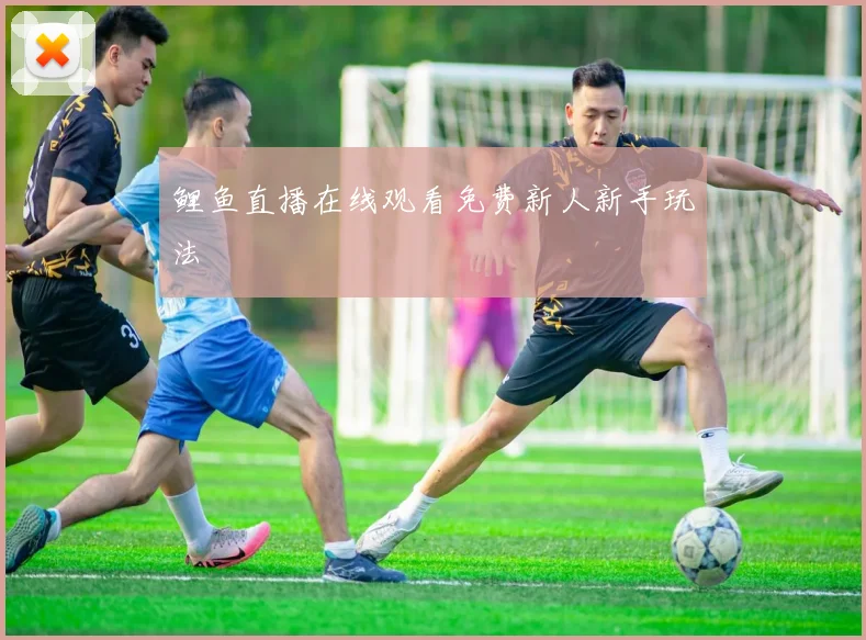 鲤鱼直播在线观看免费新人新手玩法